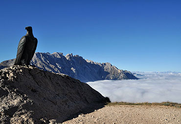 Christomannos-Denkmal