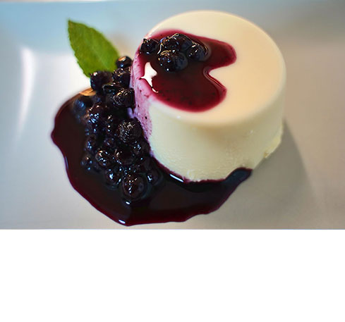Panna Cotta