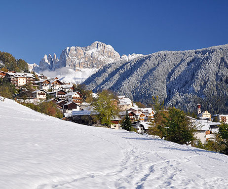 Tiers am Rosengarten