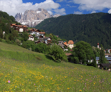 Tiers am Rosengarten