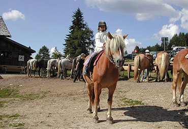 Reiten